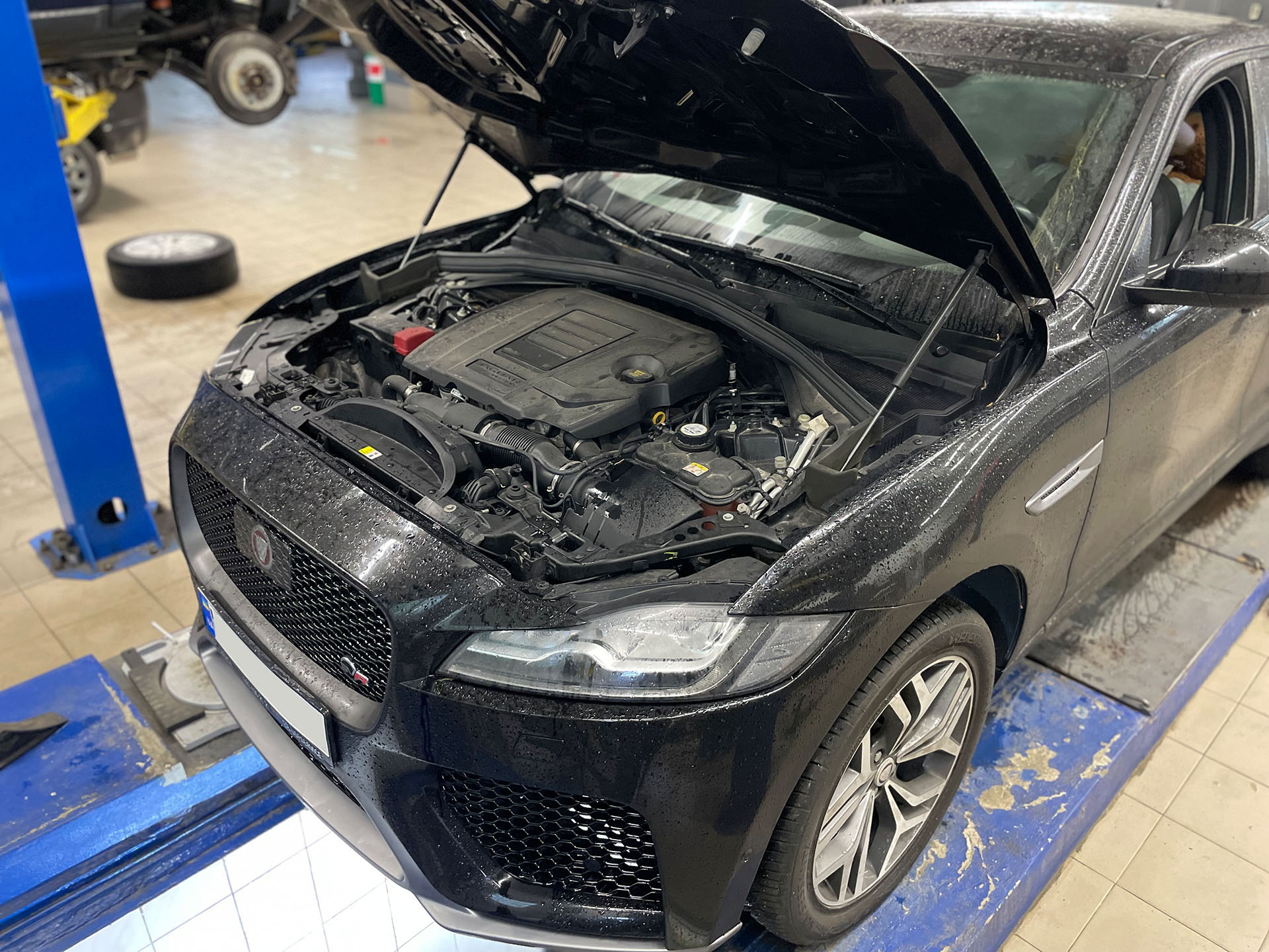 Ремонт компресора на Jaguar F-PACE - Royal World Service